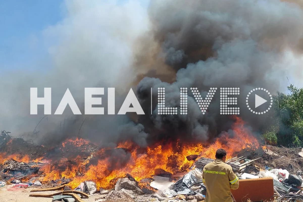 Η φωτιά στο Βαρθολομιό Ηλείας τέθηκε υπό έλεγχο μετά από ώρες