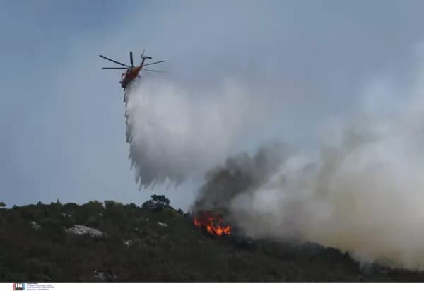 Φωτιά στη Νέα Κερασιά Θεσσαλονίκης: 25 Πυροσβέστες στο Μέτωπο