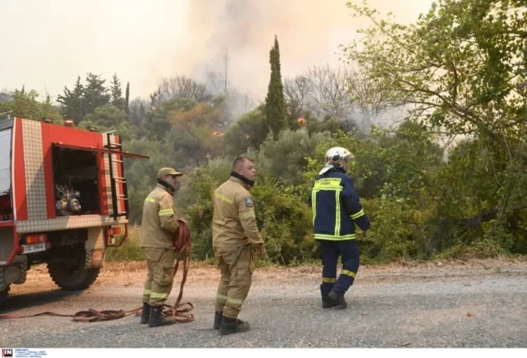 Η φωτιά σε εργοστάσιο ανακύκλωσης στη Νέα Τενέδο Χαλκιδικής