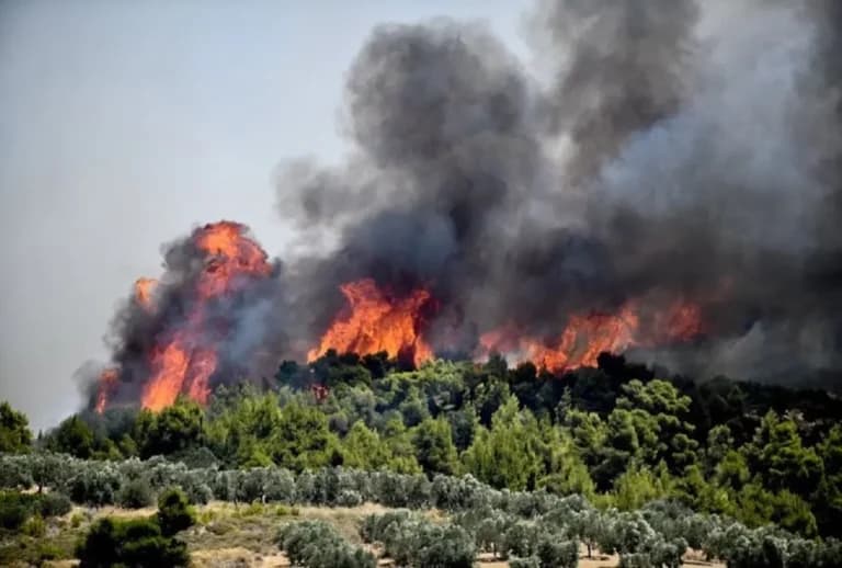 Σε υψηλό κίνδυνο πυρκαγιάς η Θεσσαλονίκη και το Κιλκίς