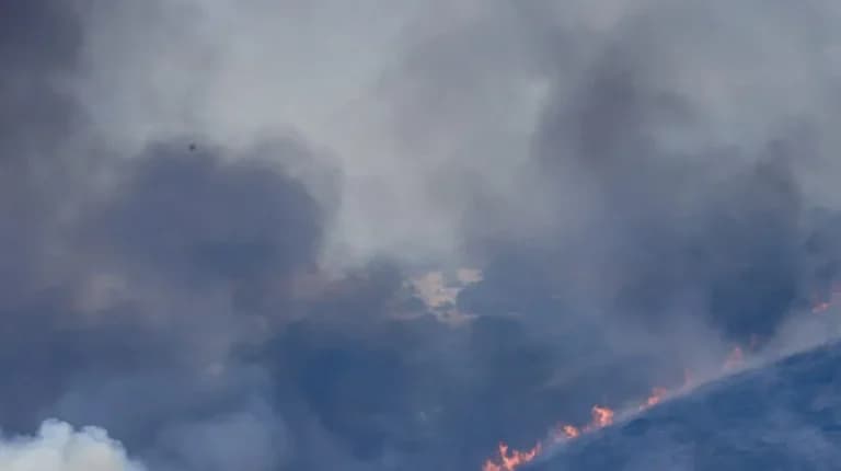 Πυρκαγιά στα Οινόφυτα: Μεγάλη κινητοποίηση της Πυροσβεστικής