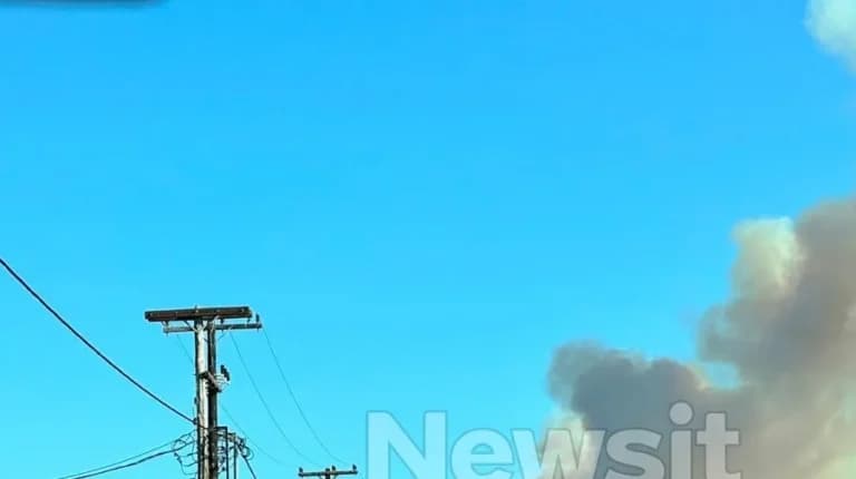 Πύρινος εφιάλτης σε Βοιωτία, Αχαΐα, Αργολίδα και Άρτα