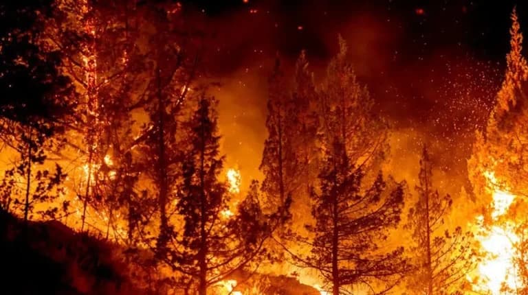Η φωτιά στη Ζιρόντ πλησιάζει το Μπορντό σε 15 χλμ.