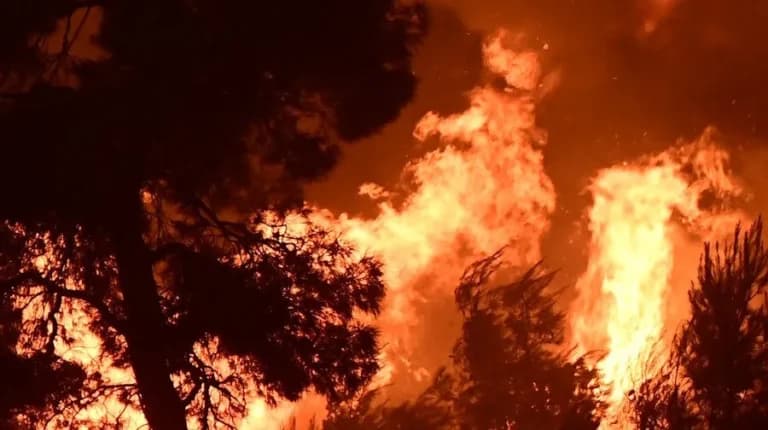 Βοιωτία: Αγωνία για τις φωτιές σε Δομβραίνα και Πόρτο Γερμενό