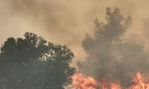 Φωτιά στην Περιφερειακή Αιγάλεω: Εκκενώθηκαν Αφαία, Άνω Δάσος
