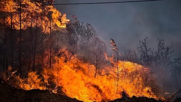 Τρεις συλλήψεις για πυρκαγιές αμέλειας σε Πρέβεζα και Χαλκιδική