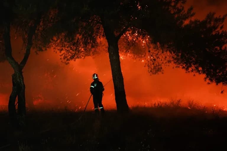 Η φωτιά στο Νότιο Πήλιο τέθηκε υπό έλεγχο σε μισή ώρα