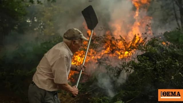 Η Ισπανία έσωσε την 500χρονη καστανιά «Αμπουέλο» από τη φωτιά