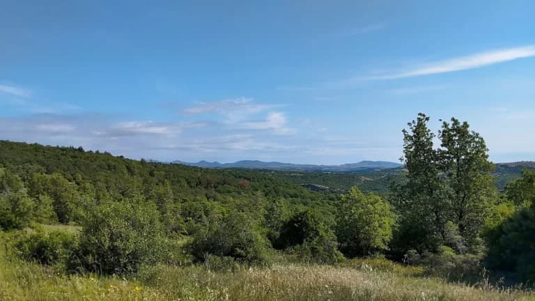 Η 90χρονη βρέθηκε ζωντανή στο βουνό στην Ορμύλια Χαλκιδικής