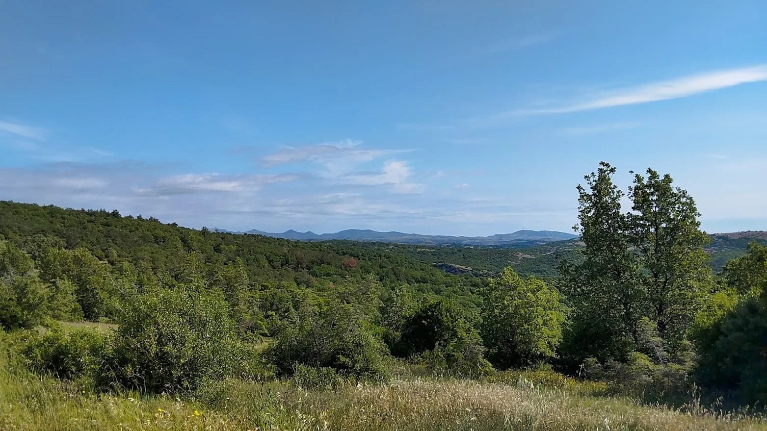 Η 90χρονη βρέθηκε ζωντανή στο βουνό στην Ορμύλια Χαλκιδικής