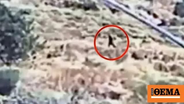 Βίντεο-ντοκουμέντο για τη φωτιά στον Ασώματο Ρεθύμνου