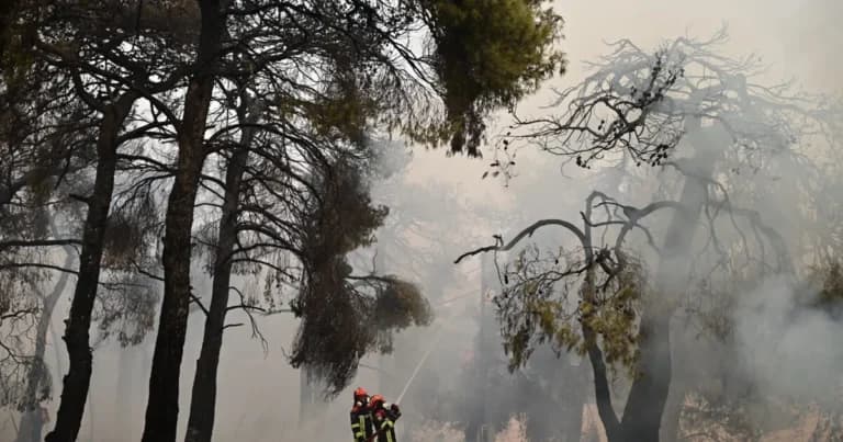 Ο Σαρηγιάννης προειδοποιεί για τις συνέπειες των πυρκαγιών