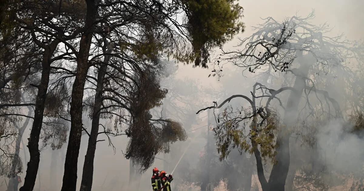 Ο Σαρηγιάννης προειδοποιεί για τις συνέπειες των πυρκαγιών