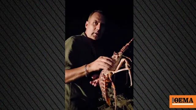 Ο Γάλλος ακτιβιστής πλήρωσε 300 ευρώ για να σώσει αστακό