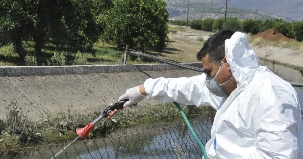 Ο ιός του Δυτικού Νείλου καλπάζει με 232 κρούσματα φέτος
