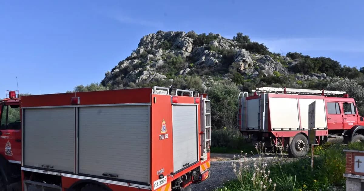 Οριοθετήθηκε η φωτιά στο Νέο Μοναστήρι Δομοκού