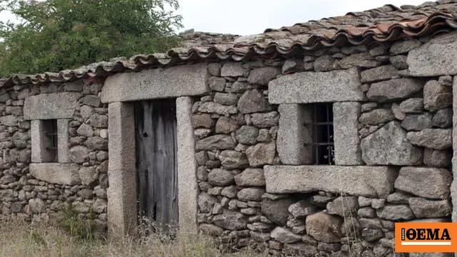 Η 63χρονη στη Ζάκυνθο έδεσε γάτα πρόστιμο 30.000€