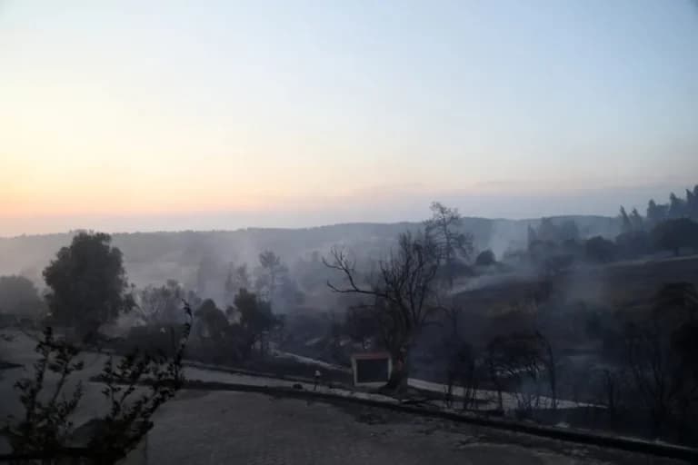 Η ΠΟΓΕΔΥ υπερασπίζεται το πρόγραμμα πρόληψης Antinero