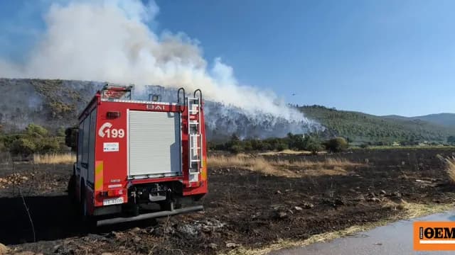 Ξεκίνησαν οι αποζημιώσεις στους πυρόπληκτους της Μάνδρας