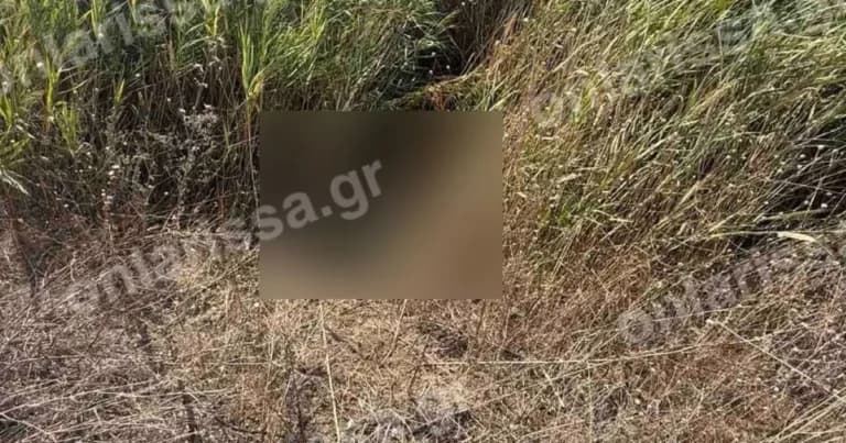 Η 72χρονη Θεοδώρα Ντρίτσου βρέθηκε νεκρή στη Λάρισα