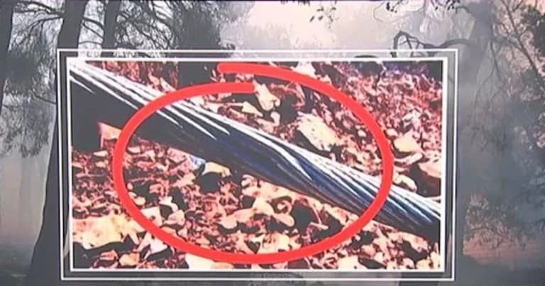 Η φωτιά στην Αττικοβοιωτία μαίνεται για πέμπτη ημέρα