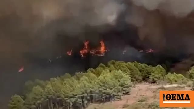 Η Ισπανία εκκενώνει τη Γκάτοβα λόγω πυρκαγιάς στη Βαλένθια