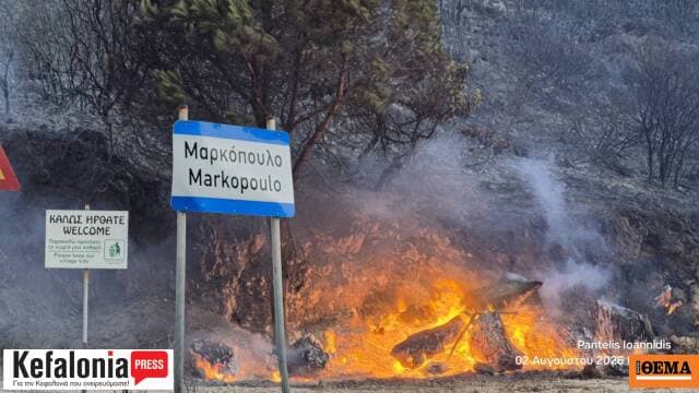 Η φωτιά στη Βοιωτία: Συνελήφθησαν δύο για εμπρησμό