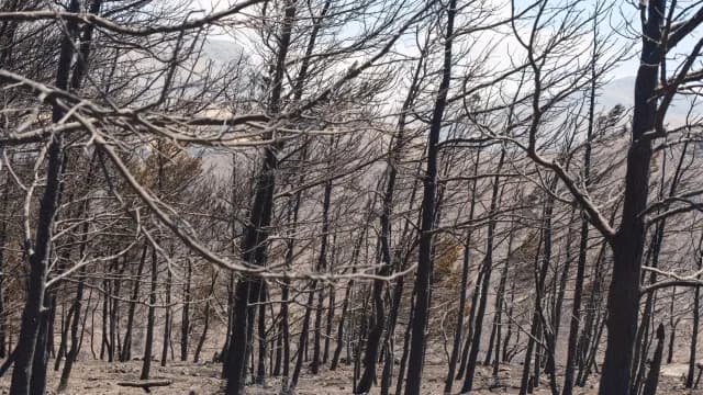 Η επόμενη μέρα της φονικής πυρκαγιάς στο νότιο Ρέθυμνο