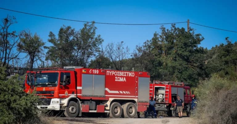 Η φωτιά στη Σάμο: Κινητοποιήθηκαν 28 πυροσβέστες με ελικόπτερο