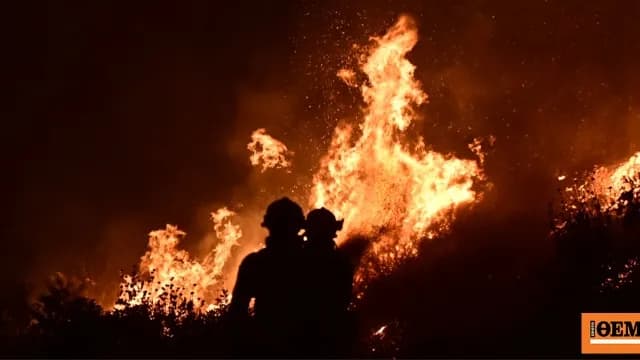 Πυρκαγιά στην Πάστρα Κεφαλονιάς: Μήνυμα 112 για κατοίκους