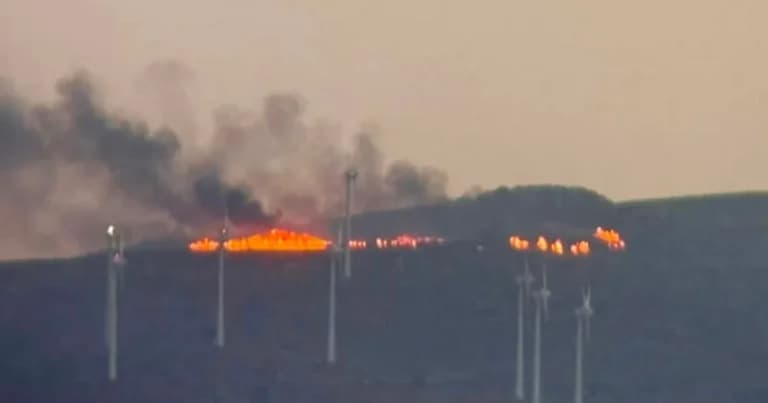 Φωτιά στη Σητεία: 40 πυροσβέστες στην Αχλαδιά Κρήτης