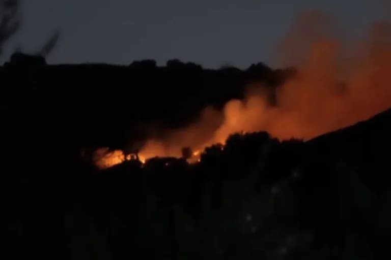 Φωτιά στην Αιγιάλεια: ενισχύσεις και μάχη στην Άρτα