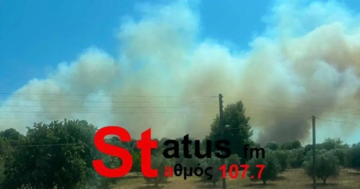 Φωτιά στη Χαλκιδική: Το 112 καλεί σε εκκένωση τη Σίβηρη