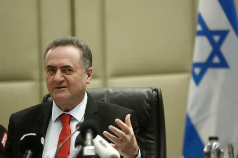 Πώς δήμοι της Αττικής κάνουν συγκομιδή ελιών σε λάδι