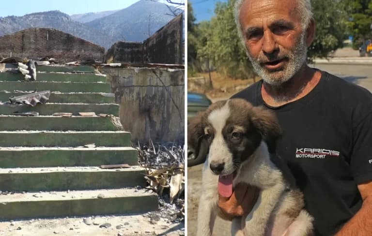 Το ΔΙΚΕΠΑΖ διασώζει αδέσποτα ζώα από τις φωτιές στην Αττική