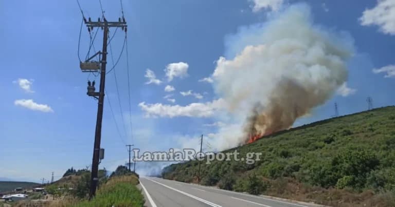 Φωτιά στη Φωκίδα: Ενεργοποιήθηκε το 112 για εκκενώσεις