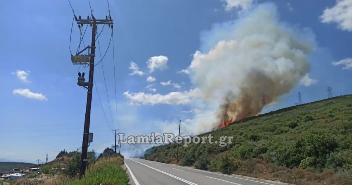 Φωτιά στη Φωκίδα: Ενεργοποιήθηκε το 112 για εκκενώσεις