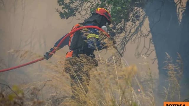 Φωτιά τώρα στην Πύλο: Μάχη με τις φλόγες σε Νέστορα