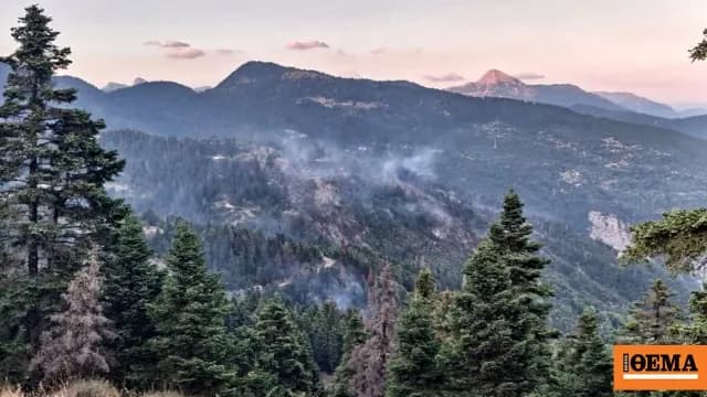 Πολύ υψηλός κίνδυνος πυρκαγιάς αύριο σε δέκα περιφέρειες