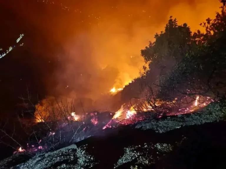 Οι πυρκαγιές στην Αλγερία σκότωσαν 12 ανθρώπους σε τρεις επαρχίες