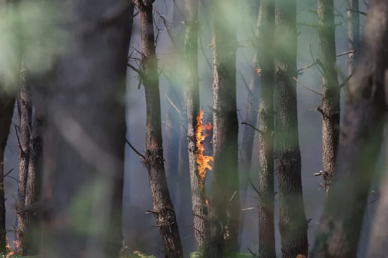Η κλιματική κρίση απειλεί τα κέρδη των μεγάλων επενδυτών