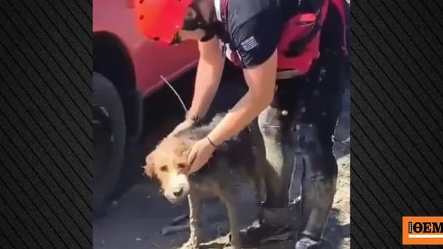 Ο εισαγγελέας ερευνά προσγείωση ελικοπτέρου στις Σπέτσες