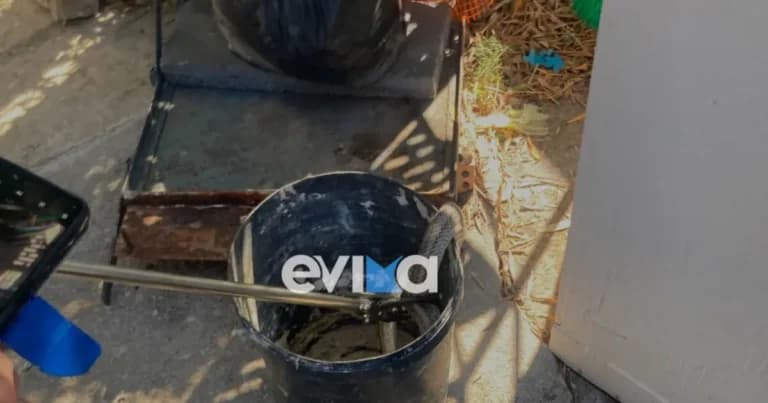 Ο λαφιάτης δύο μέτρων μπήκε σε αποθήκη στην Εύβοια