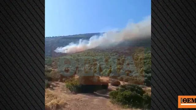 Η φωτιά στη Βοιωτία: Δύο συλλήψεις μετά το βίντεο-ντοκουμέντο