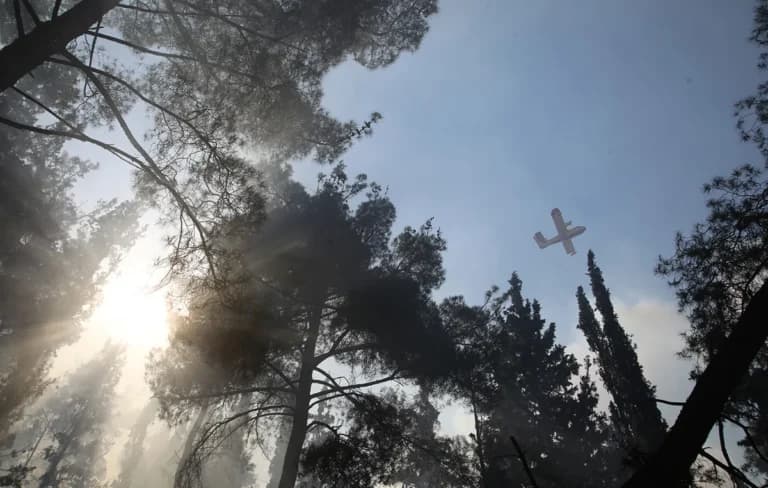 Η φωτιά στο Καρύδι Σητείας οριοθετημένη μετά το 112
