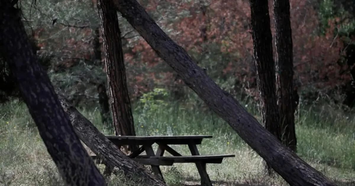Ο ΔΕΔΔΗΕ ενισχύει τη μάχη κατά των δασικών πυρκαγιών