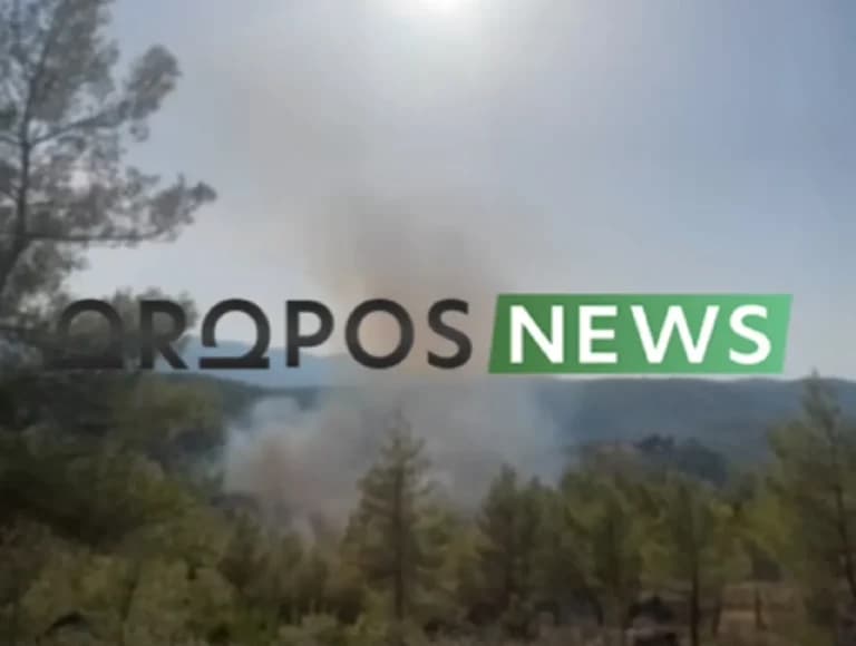 Η πυρκαγιά στο Μαρκόπουλο Ωρωπού χωρίς ενεργό μέτωπο