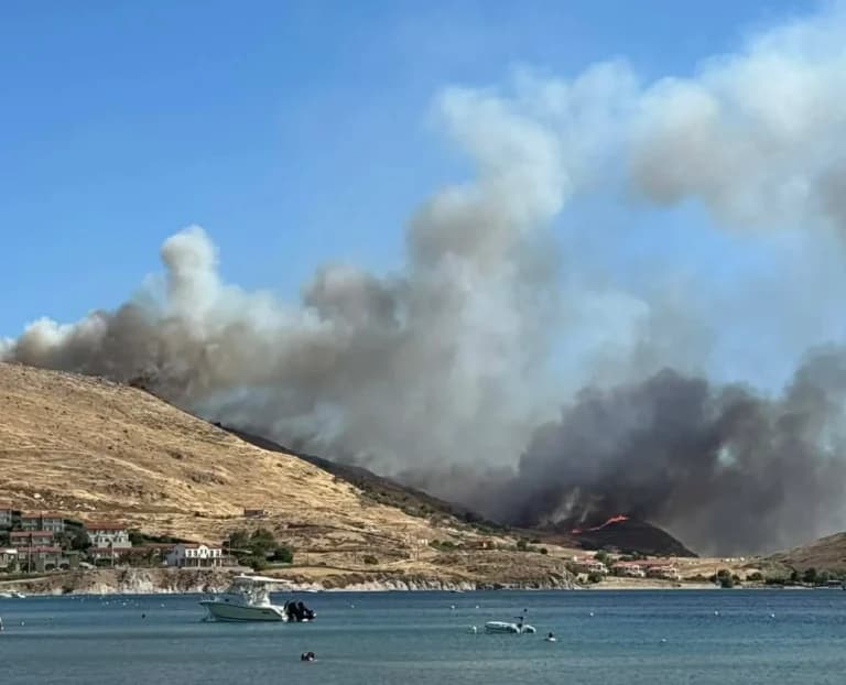 Ο αντιδήμαρχος συνελήφθη για τη φωτιά στο Θάνος Λήμνου