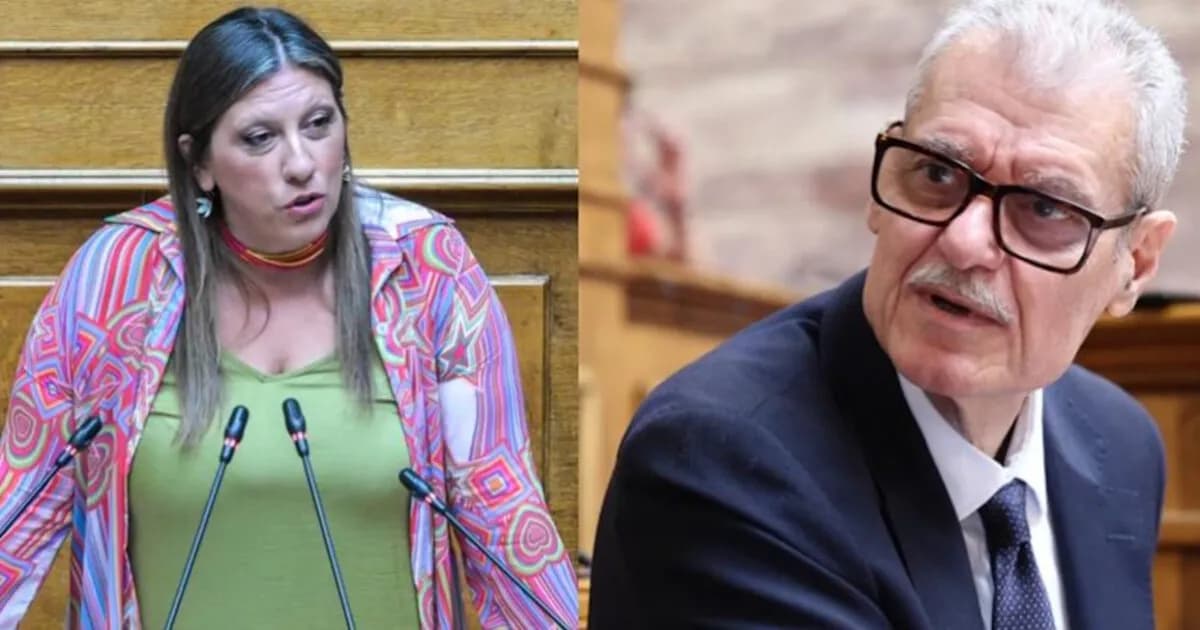 Ένταση Τουρνά-Κωνσταντοπούλου για τη φωτιά στον Άγιο Βασίλειο
