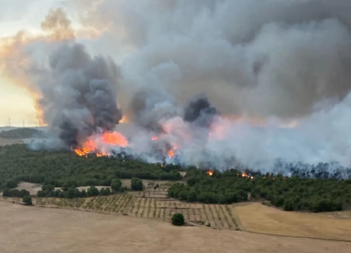 Ανεξέλεγκτη παραμένει η πυρκαγιά στην Ουέλβα της Ισπανίας